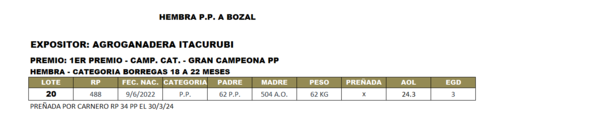 Lote LOTE 20- BOZAL