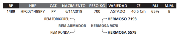 Lote LOTE 41