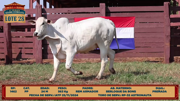 Lote LOTE 28