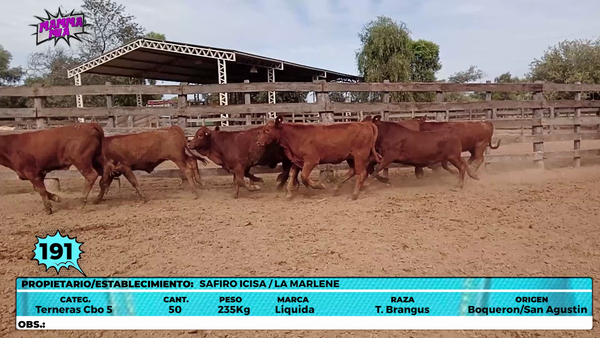 Lote LOTE 191