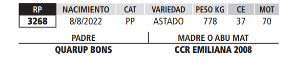 Lote LOTE 36