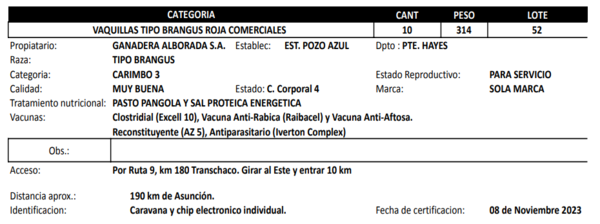 Lote LOTE 52