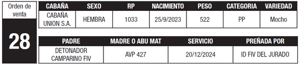 Lote LOTE 28