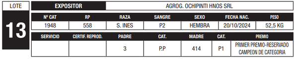 Lote LOTE 13