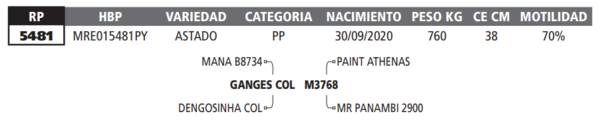 Lote LOTE 11