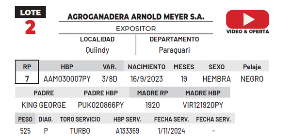 Lote LOTE 2