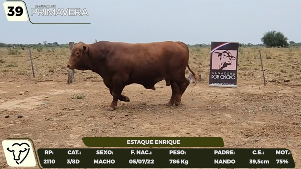 Lote LOTE 39- CAMPO