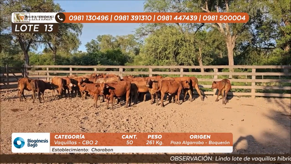 Lote ESTANCIA EL CHARABON