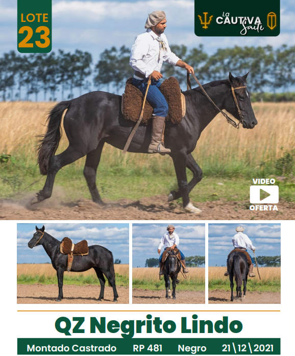 Lote LOTE 23