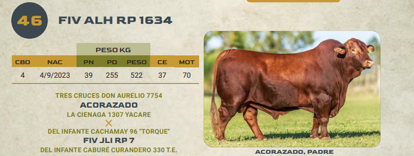 Lote LOTE 46
