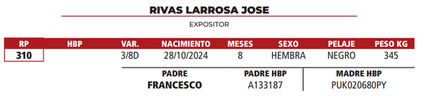 Lote LOTE 1