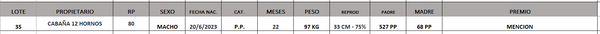 Lote LOTE 35