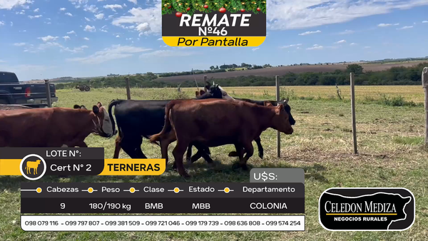 Lote 9 Terneras en Otra Localidad, Colonia