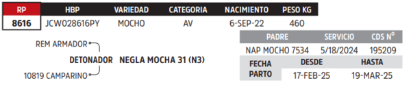 Lote LOTE 31