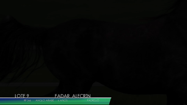Lote FADAR ALECRIN