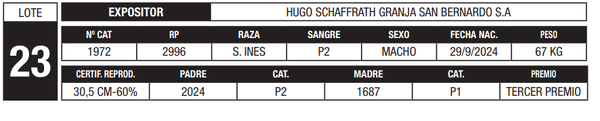 Lote LOTE 23