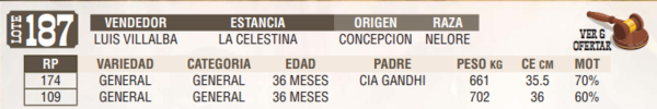 Lote LOTE 187