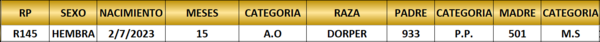 Lote LOTE 53