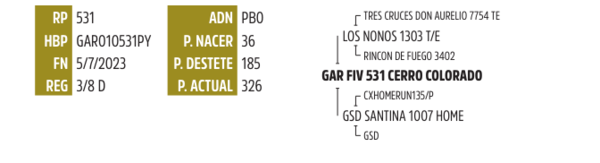 Lote LOTE 19