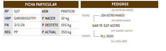Lote LOTE 25