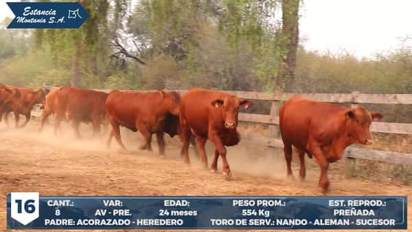 Lote LOTE 16