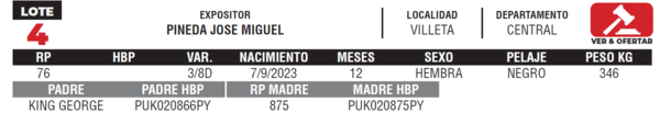 Lote LOTE 4- JUNIOR