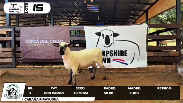 Lote LOTE 15- CAMPO