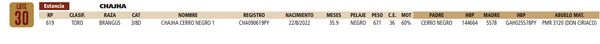 Lote LOTE 30