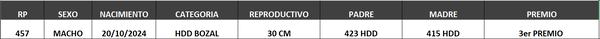 Lote LOTE 10- BOZAL