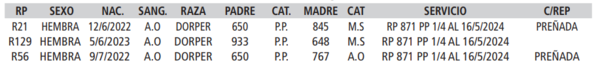 Lote LOTE 27