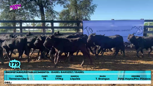Lote LOTE 179