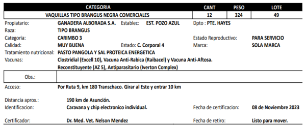 Lote LOTE 49