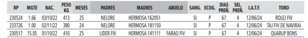 Lote LOTE 9