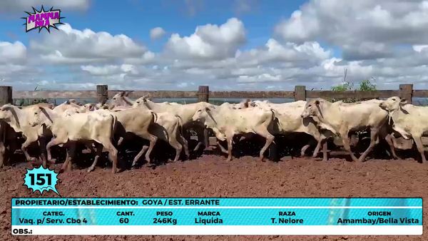Lote LOTE 151
