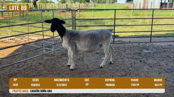 Lote LOTE 89