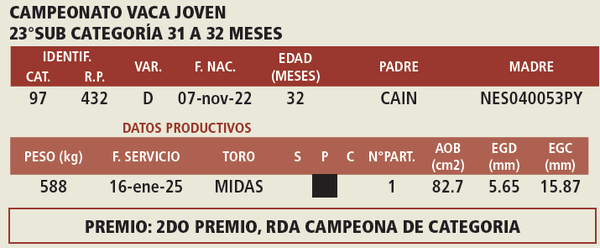 Lote LOTE 10
