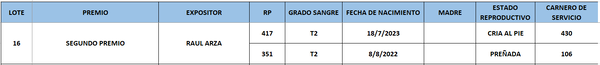 Lote LOTE 16
