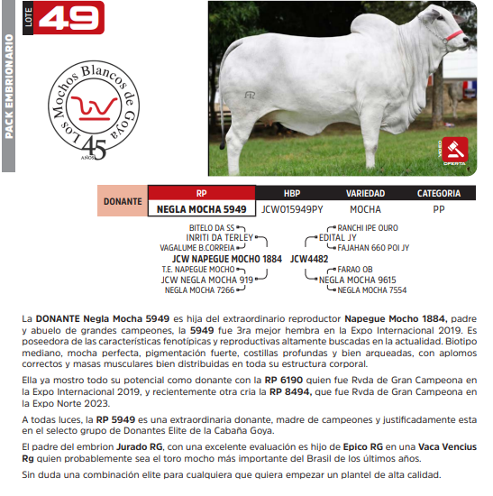 Lote LOTE 49