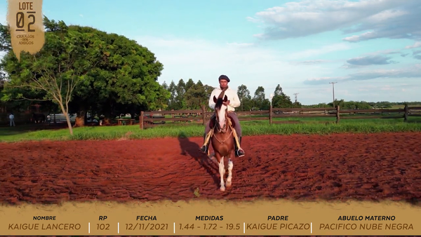 Lote KAIGUE LANCERO
