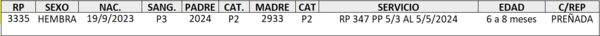 Lote LOTE 23 DE CATALOGO