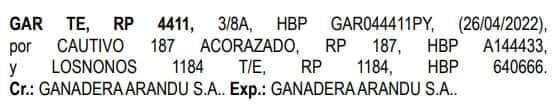 Lote LOTE 5