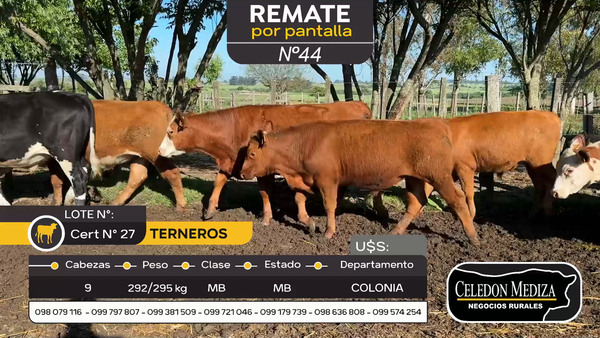 Lote 9 Terneros en Otra Localidad, Colonia