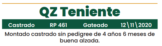 Lote LOTE 8