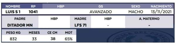 Lote LOTE 15