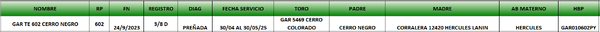 Lote LOTE 7