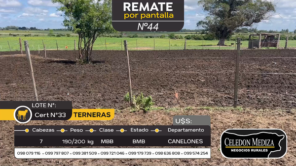 Lote 7 Terneras en Santa Lucía del Este, Canelones