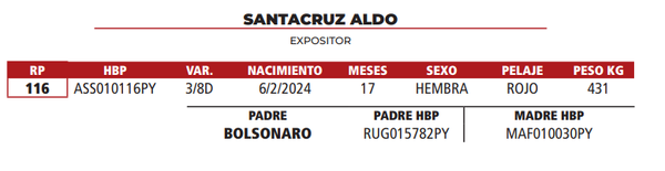 Lote LOTE 38