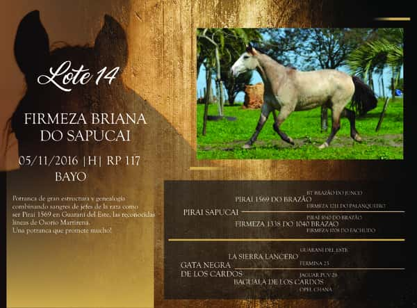 Lote RP 117 - FIRMEZA BRIANA DO SAPUCAI