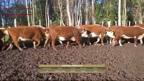 Lote La Tapera