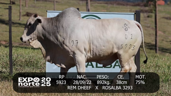 Lote JOSE SALOMON